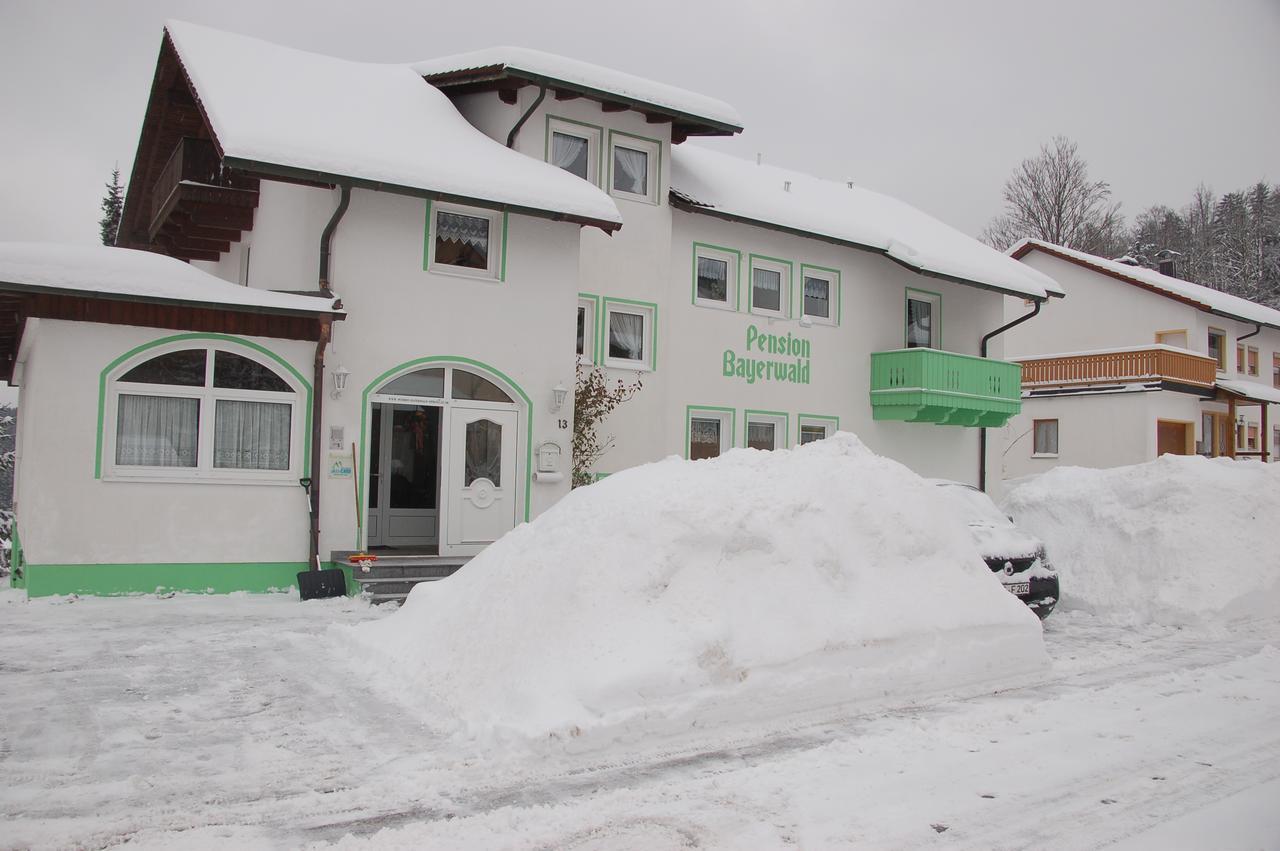 Pension Bayerwald Spiegelau Exterior photo