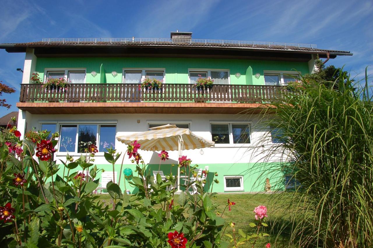 Pension Bayerwald Spiegelau Exterior photo